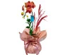 orquídea goyave ikebana flores