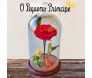 rosa pequeno principe vermelha na cúpula
