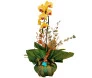 orquidea amarela no green