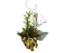 Orquídea Dendróbium ou Denphal Branca