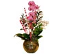 orquidea phalaenospsis rosa plantada no vidro