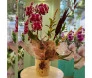 Arranjo sofisticado de orquídeas phalaenopsis rosa e magenta em uma box decorada em ambiente iluminado