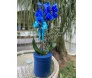 orquídea azul em uma caixa azul sobre a mesa