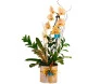 Arranjo de orquídea phalaenopsis na cor champanhe em box dourada, decorada com diversas plantas e flores, apresentando luxo e elegância