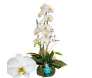 orquidea branca em uma embalagem na cor verde