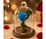 Rosa Eterna Azul na cúpula de vidro média com rosa preservada natural, presente sofisticado com entrega rápida em Belo Horizonte