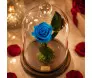 rosa eterna preservada na cúpula na cor azul clara