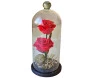 duas rosas vermelhas em uma cúpula de vidro
