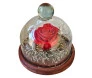 rosa eterna vermelhas em uma cúpula de vidro pequena