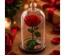 Rosa Eterna Vermelha Grande na Cúpula de Vidro - Rosa Preservada Grande com Cúpula