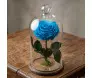 Rosa eterna azul aquamarine GG preservada, rosa encantada estilo bela e a fera em apresentação sofisticada