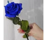 rosa eterna azul