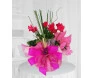linda flor ciclame