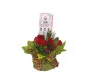 Vaso de mini ciclame