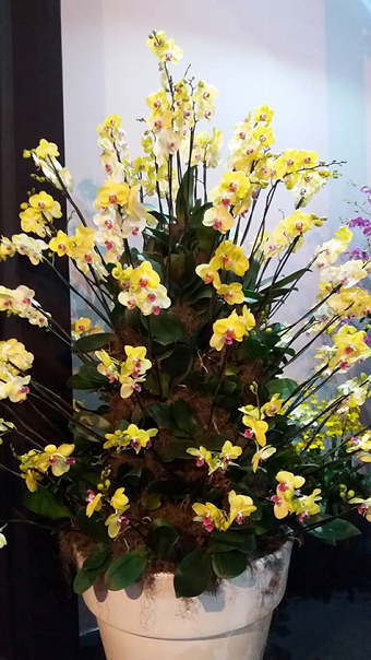 Idéias para decoração - Arranjos de flores – Enflor
