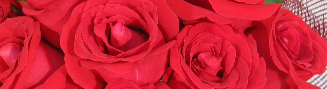 Buque de rosas colombianas | Onde comprar mais barato