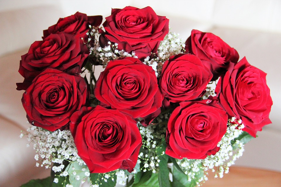 Buquês De Rosas Vermelhas São Os Preferidos Para Elas ! Buquês De Rosas Vermelhas São Os Preferidos Para Elas !